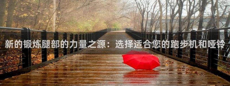 意昂体育4招商电话：新的锻炼腿部的力量之源：选择适合