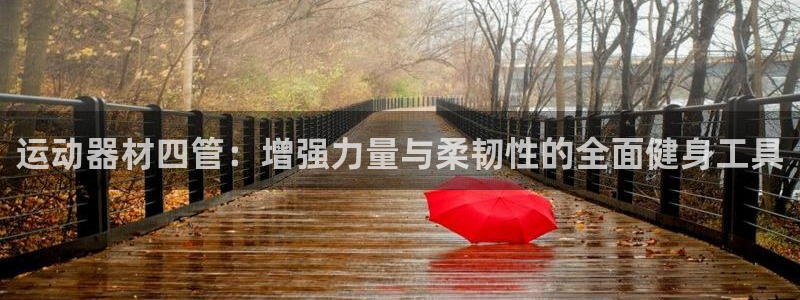 意昂4代理：运动器材四管：增强力量与柔韧性的全面健身