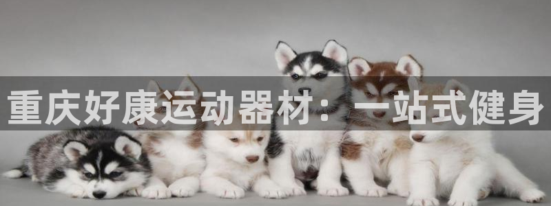 意昂体育4平台注册流程图：重庆好康运动器材：一站式健