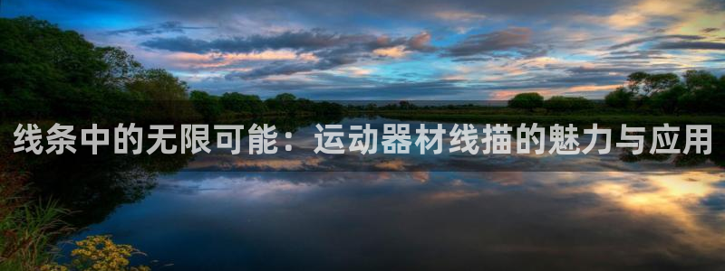 意昂4娱乐：线条中的无限可能：运动器材线描的魅力与应用