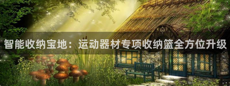 意昂4娱乐40996：智能收纳宝地：运动器材专项收纳