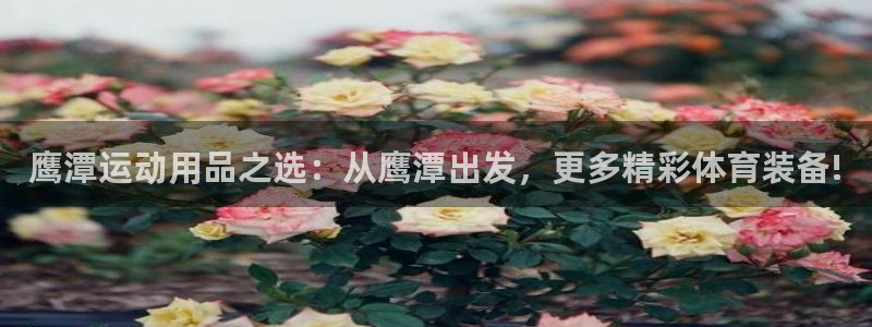 意昂4娱乐首页网站大全：鹰潭运动用品之选：从鹰潭出发，更多精