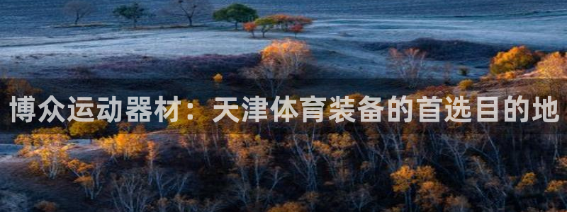 意昂体育4：博众运动器材：天津体育装备的首选目的地
