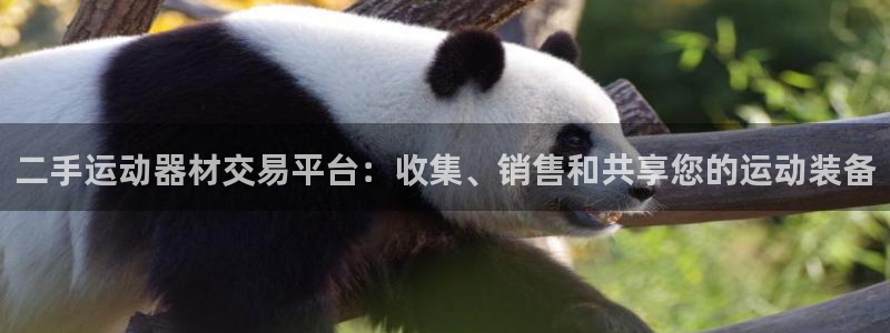 注册意昂4：二手运动器材交易平台：收集、销售和共享您
