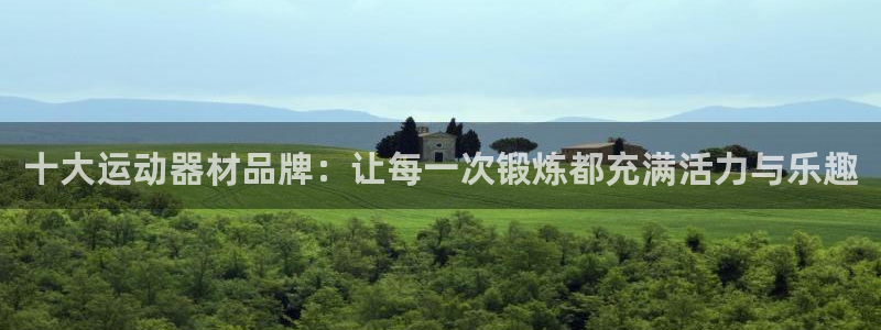 意昂4娱乐网站：十大运动器材品牌：让每一次锻炼都充满活力与乐