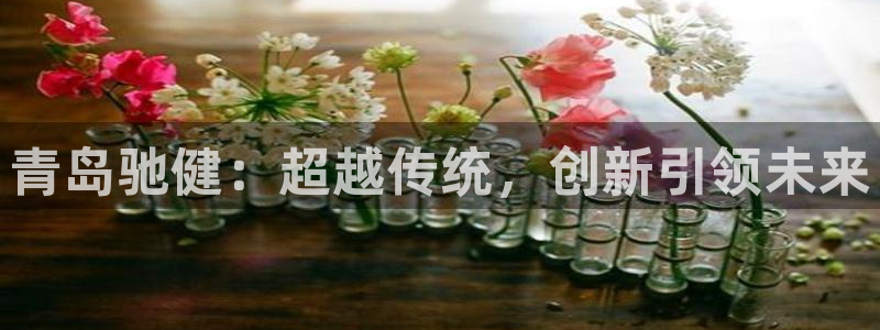 意昂体育4平台是正规平台吗：青岛驰健：超越传统，创新引领未来