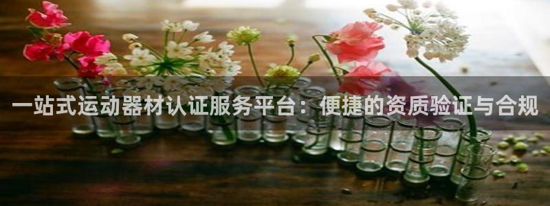 意昂4新能源：一站式运动器材认证服务平台：便捷的资质验证与合
