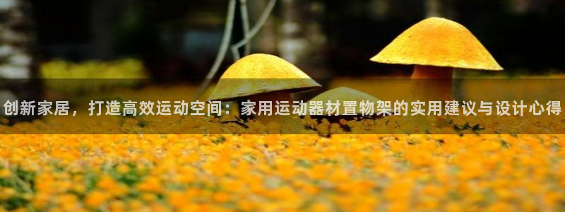 意昂4五金厂：创新家居，打造高效运动空间：家用运动器材置物架