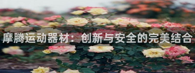 意昂体育4联系电话：摩腾运动器材：创新与安全的完美结合