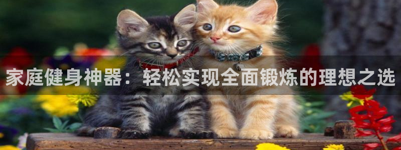 意昂4官网:家庭健身神器:轻松实现全面锻炼的理想之选