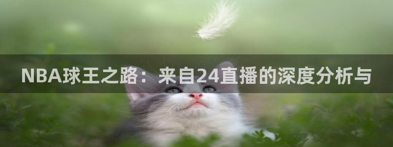 黑白直播体育官网nba在线：NBA球王之路：来自24直播的深度分析与