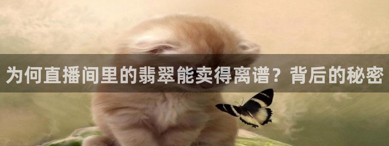 黑白直播nba免费直播：为何直播间里的翡翠能卖得离谱？背后的秘密
