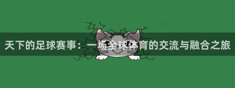 黑白足球体育直播：天下的足球赛事：一场全球体育的交流与融合之旅