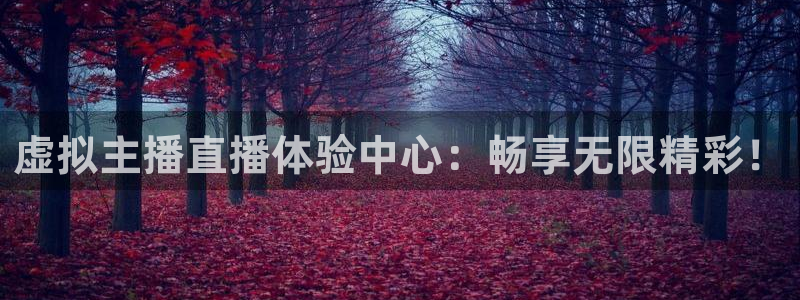 黑白直播体育nba直播：虚拟主播直播体验中心：畅享无限精彩！