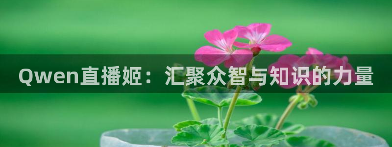 nba黑白体育免费直播：Qwen直播姬：汇聚众智与知识的力量