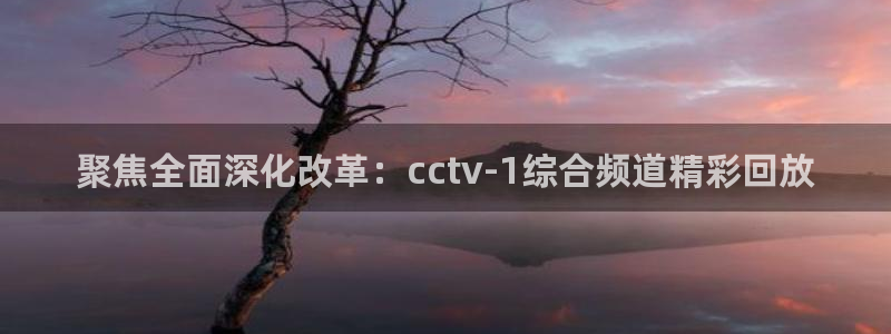 黑白体育免费观看：聚焦全面深化改革：cctv-1综合频道精彩回放